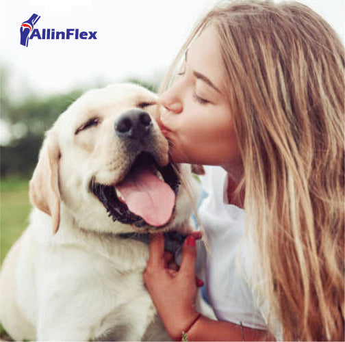 Glucosamine, Chondroitin and Hyaluronic acid for Dogs