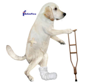 natural dog supplements for injured dogs