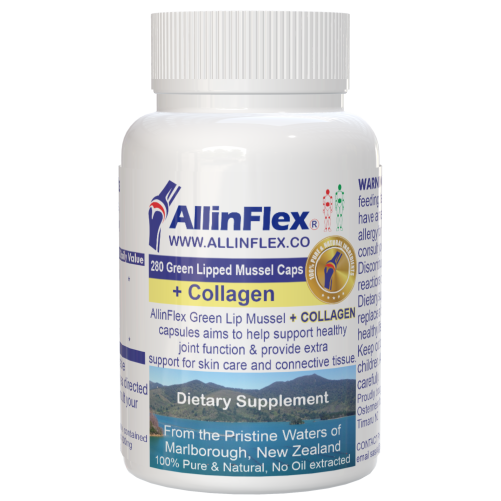 knee joint supplement