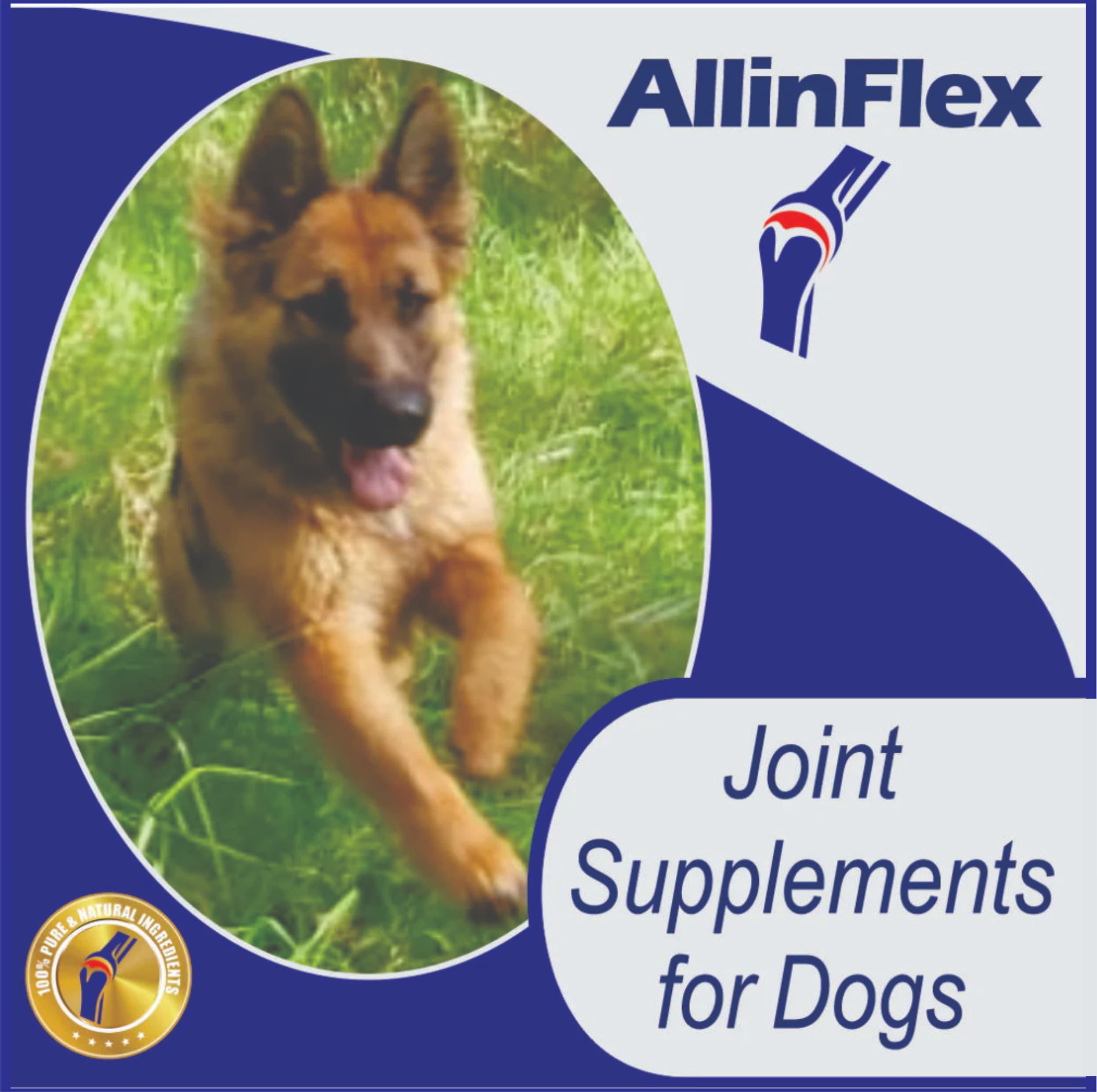 Dog Joint Supplements
