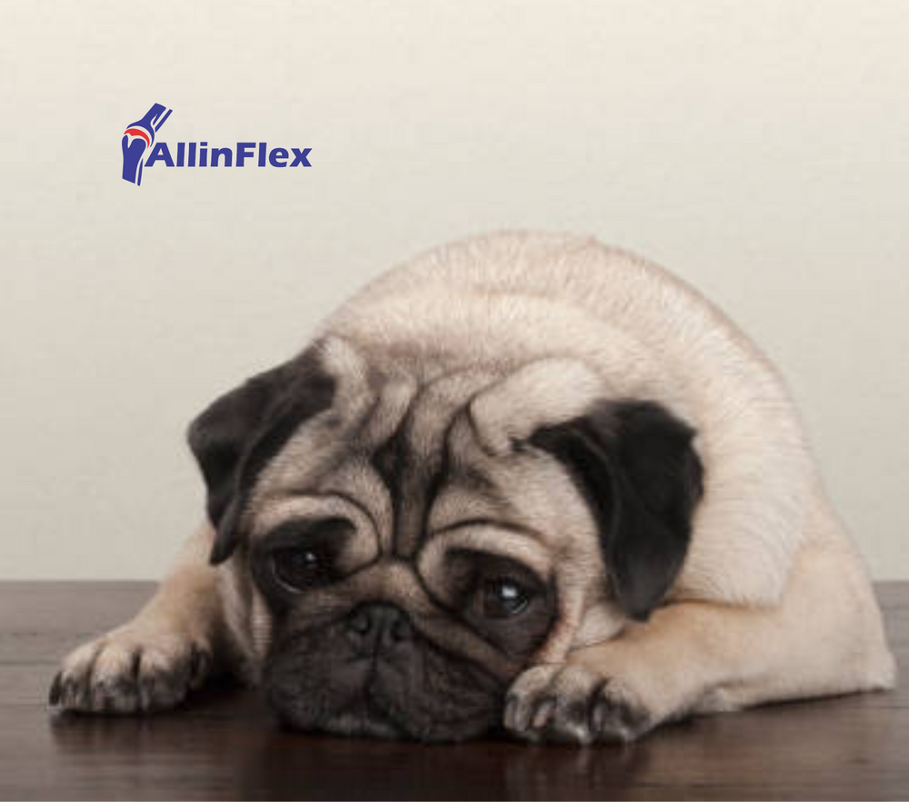 sore limps can make dogs depressed