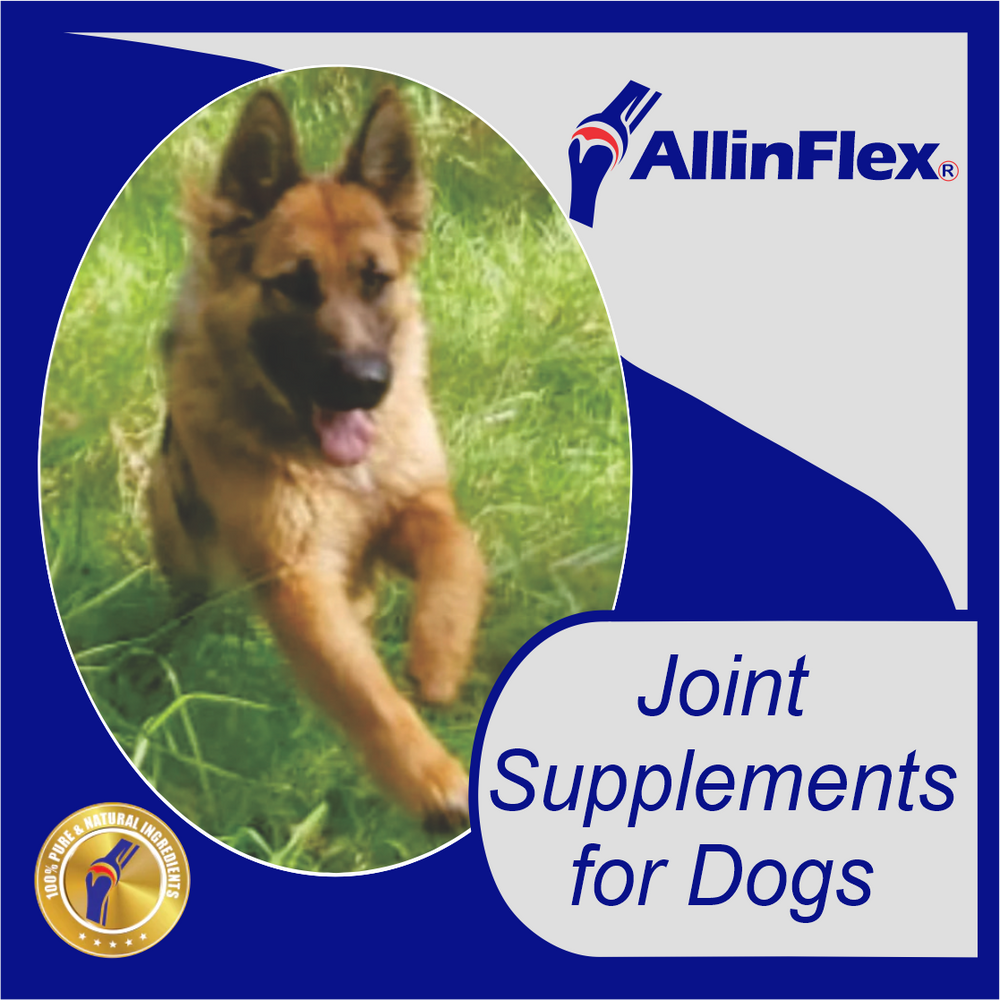 dog joint supplements
