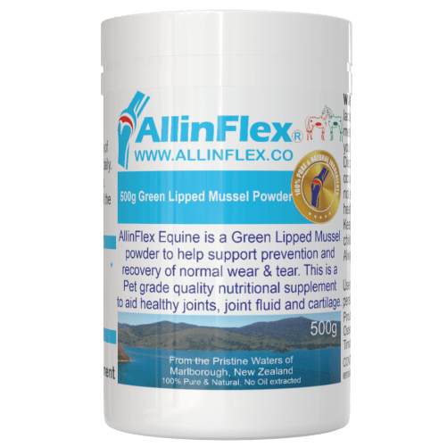 cheapest green lip mussel powder for horses nz