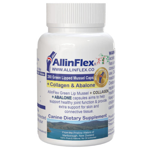 best joint supplement for dogs, canine, nz green lip mussel powder