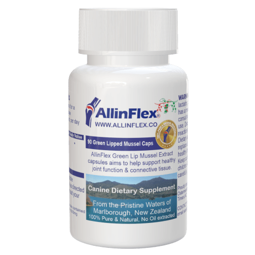 green lip mussel capsules for dogs arthritis or painful joint support
