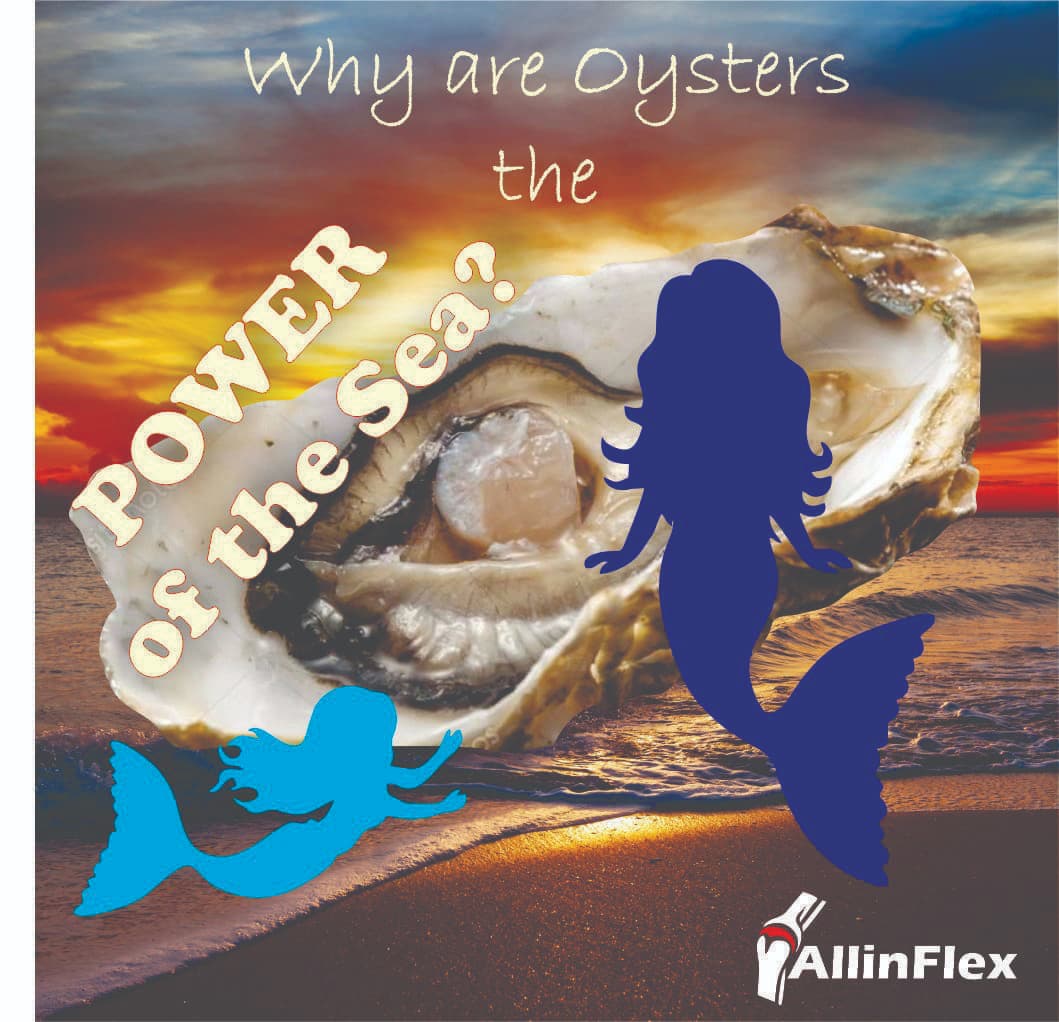 natural zinc supplement oyster powder capsules