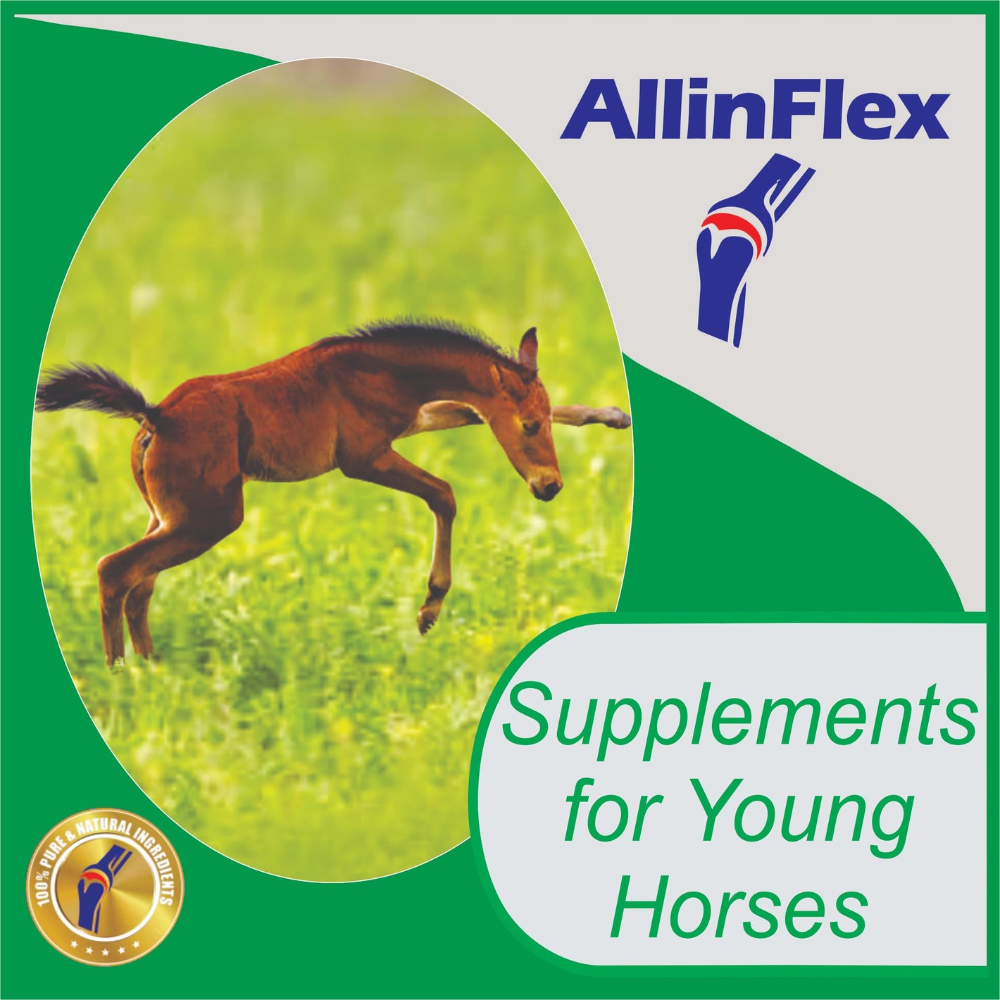 Young Growing Horse Yearling Supplements AllinFlex NZ