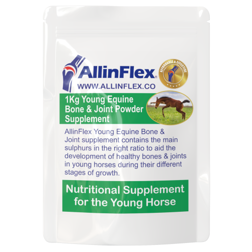 Premium Joint Supplement with optimum nutrition to aid healthy bone and joint growth in young horses.
