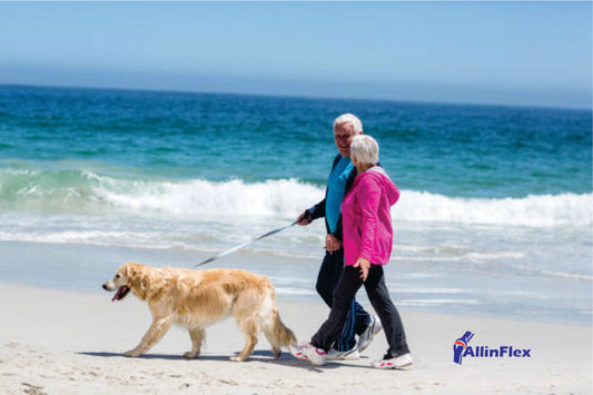 dog walks improves joint mobility