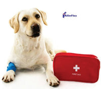 dog injury home remedies