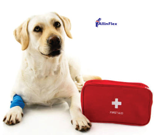 dog injury home remedies