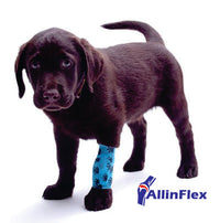 Dog Bone, Joint and Ligament injuries which require Veterinarian care