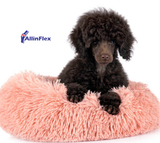 importance of comfortable dog bedding