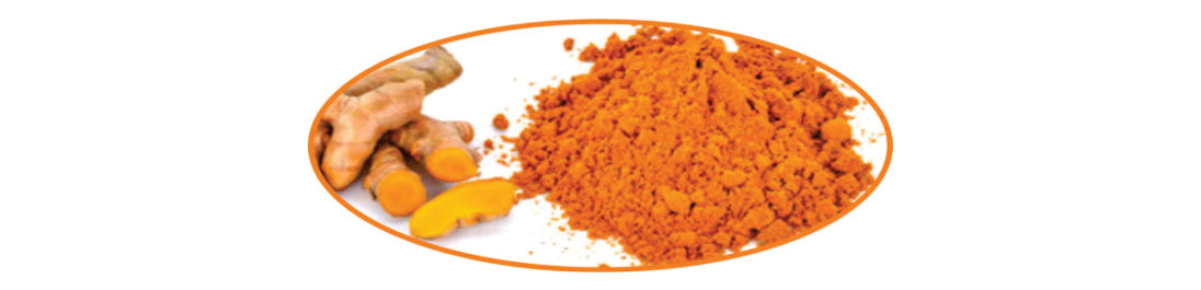 Most Well Known Researched Health Benefits of Curcumin and Turmeric
