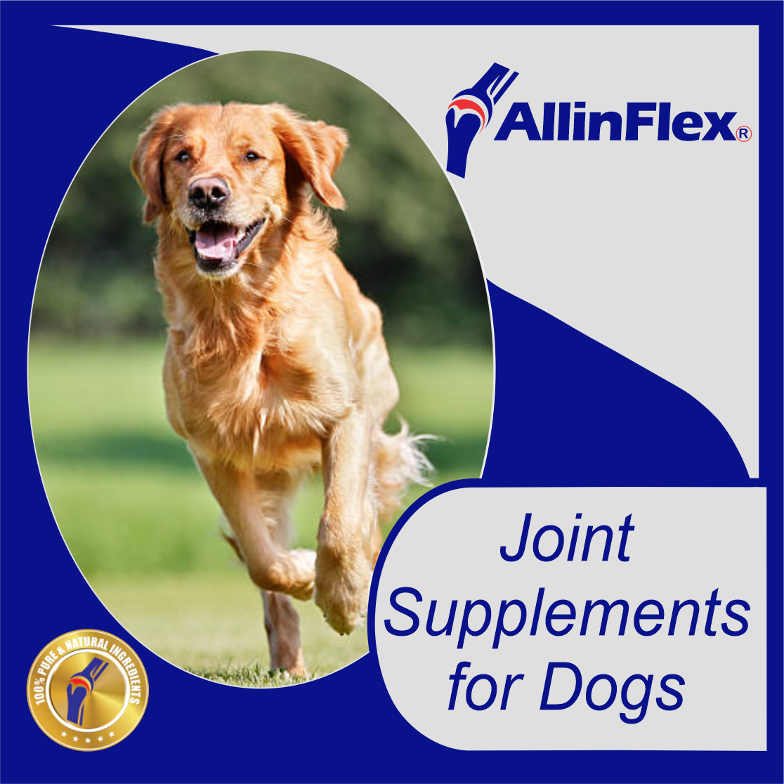 prime joint supplement for dogs of all ages in powder or capsules AllinFlex NZ