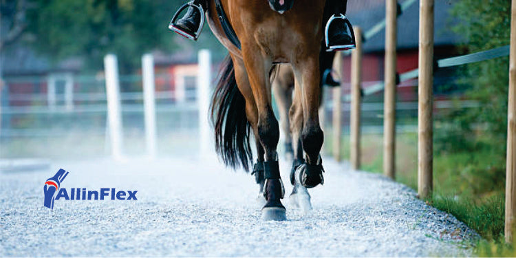tips to protect their joints when competing your horse on hard grounds