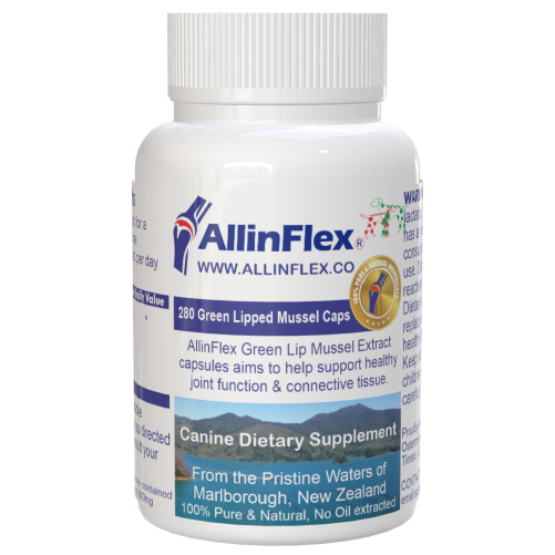 Best Joint supplement for dogs with joint problems, allinflex canine nz