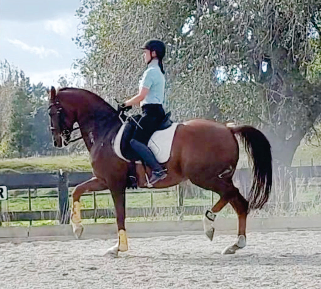 Kallista Field uses AllinFlex horse supplements to keep her horses sound, supple and healthy