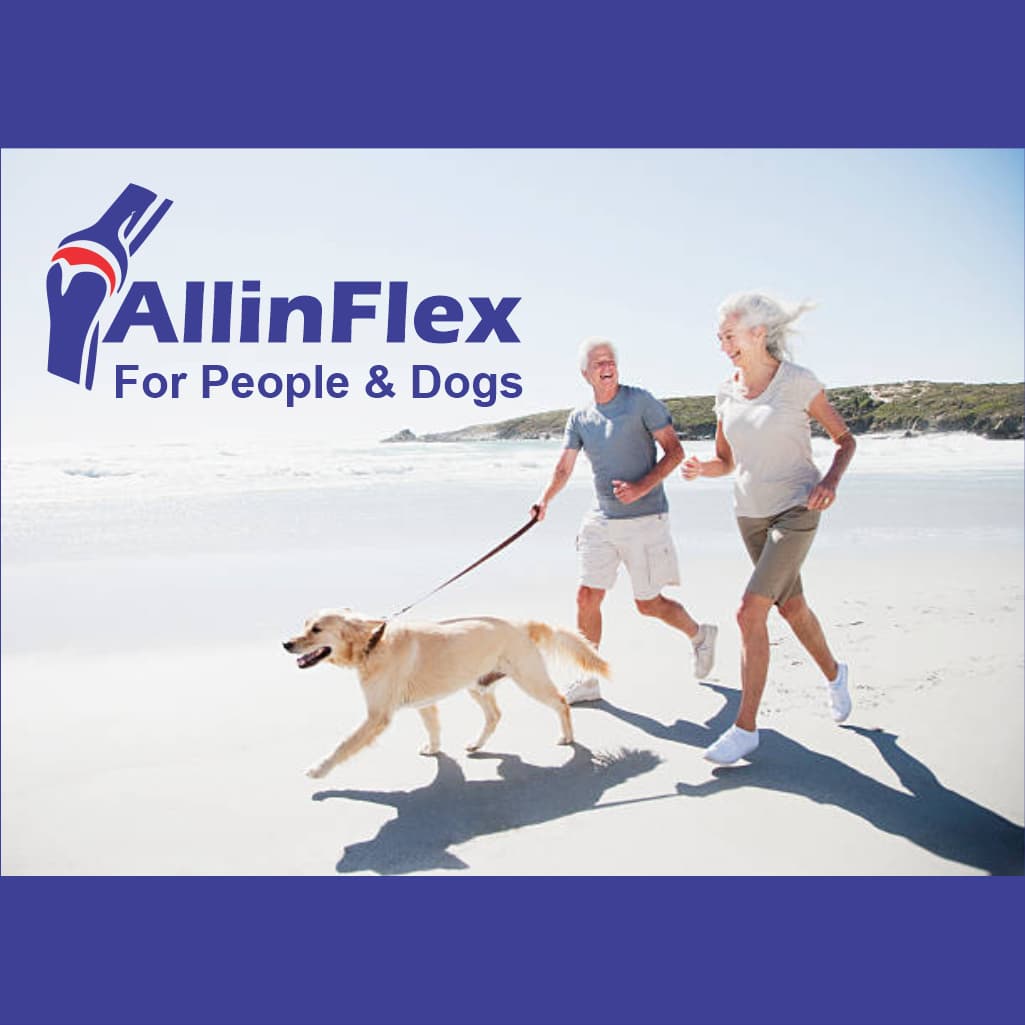 best dog supplements online shop
