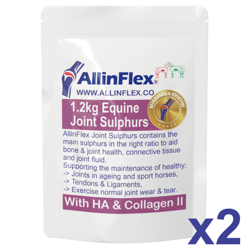 sport horse supplement for horse joints