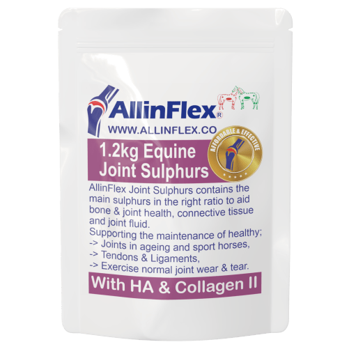 best complete joint health for horses