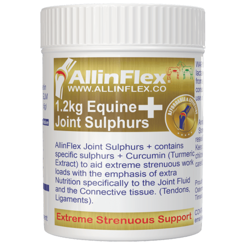 optimum supplement for injured horses