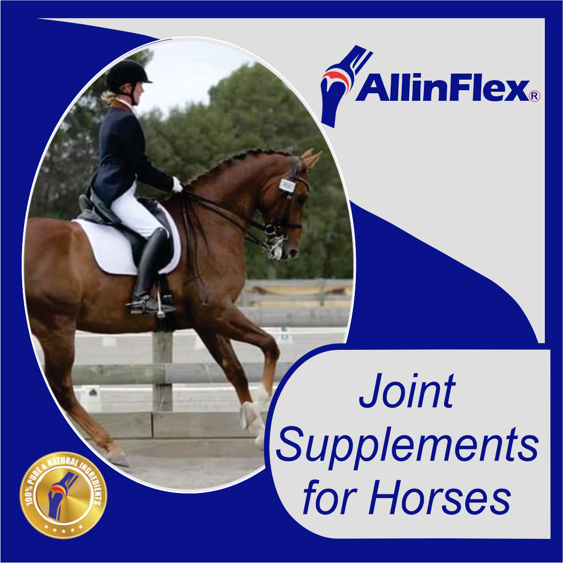 Horse joint supplements