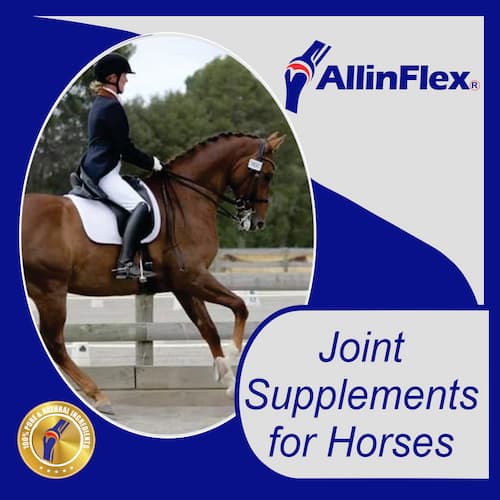 Equine joint mobility powders