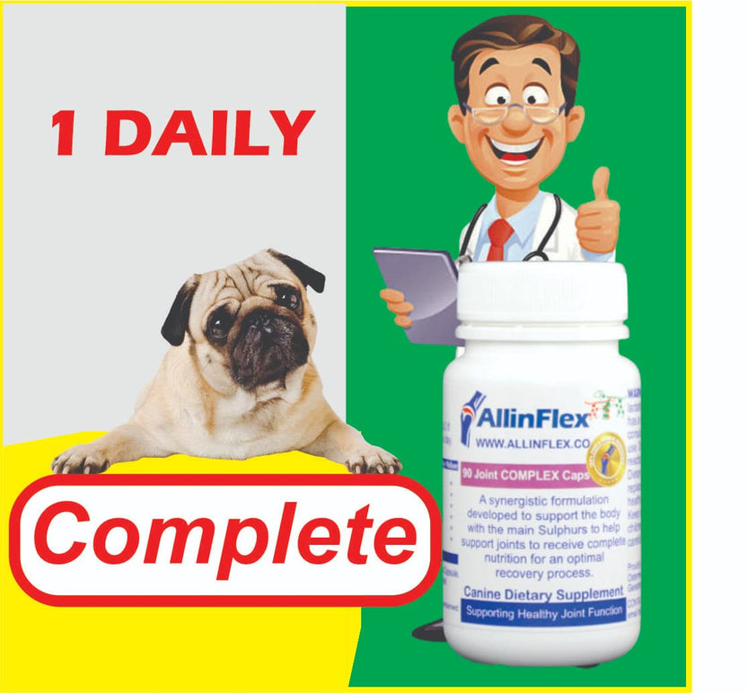 Human Glucosamine for dogs Dosage and side effects AllinFlex NZ Joint Supplements for