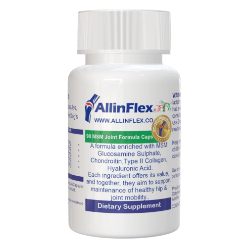 Joint formula designed for dogs, combining MSM with Glucosamine, Chondroitin, Collagen, and Hyaluronic Acid.